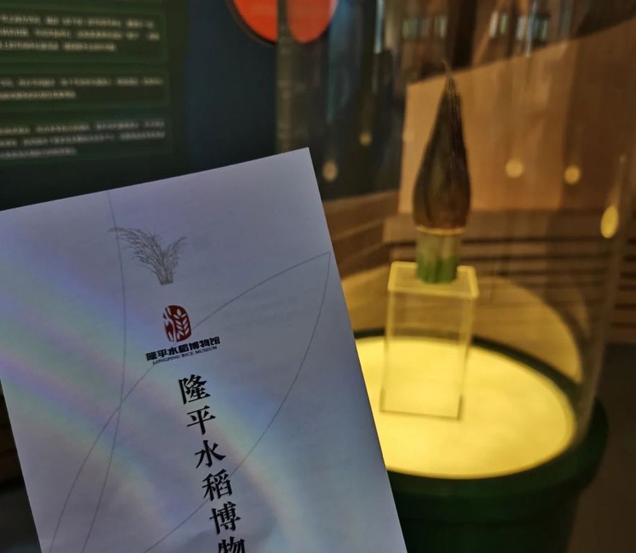 悦致酒店(长沙星沙经济开发区电力职业学院店)