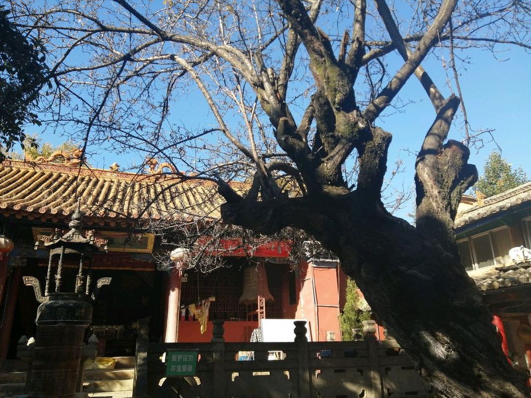 维也纳国际酒店(昆明高铁南站市政府店)