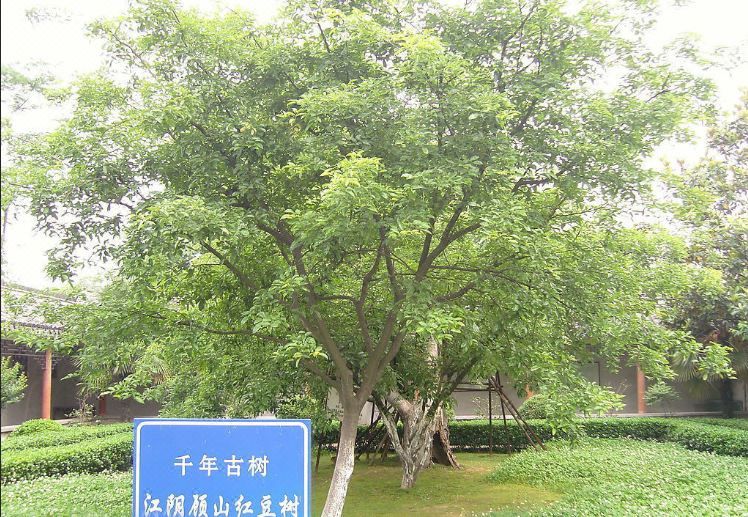 江阴富仁精品酒店