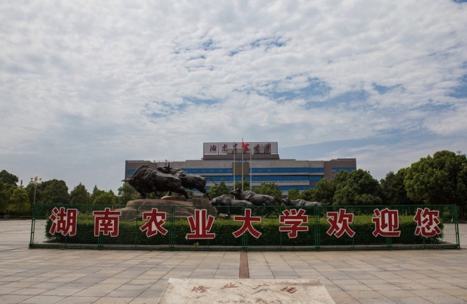 长沙芙蓉区农业科学院亚朵酒店