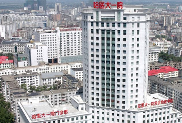 亚朵酒店(哈尔滨站省博物馆店)