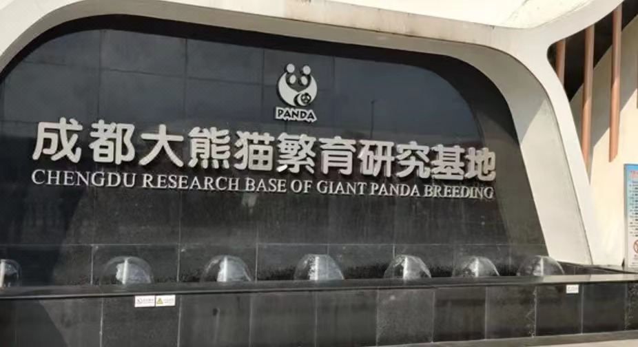 瑞喜国际酒店(成都动物园熊猫大道南大门地铁站店)