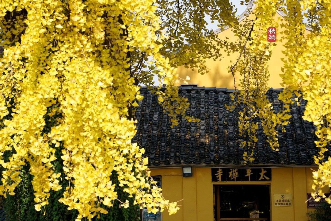 苏州国际会议酒店