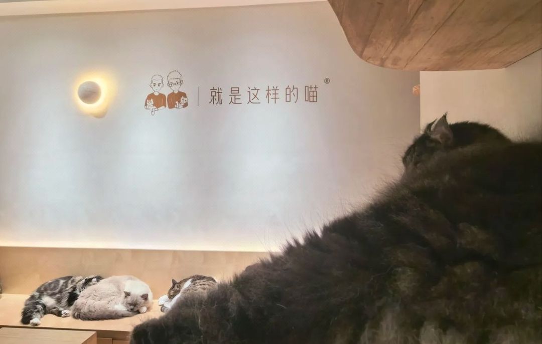 宜尚酒店(广州北京路步行街西门口地铁站店)