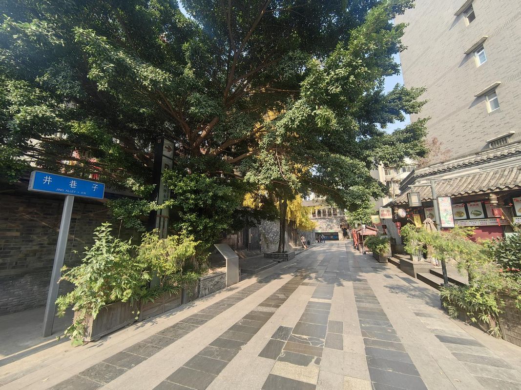 成都攀钢大酒店(金牛万达梁家巷地铁站店)