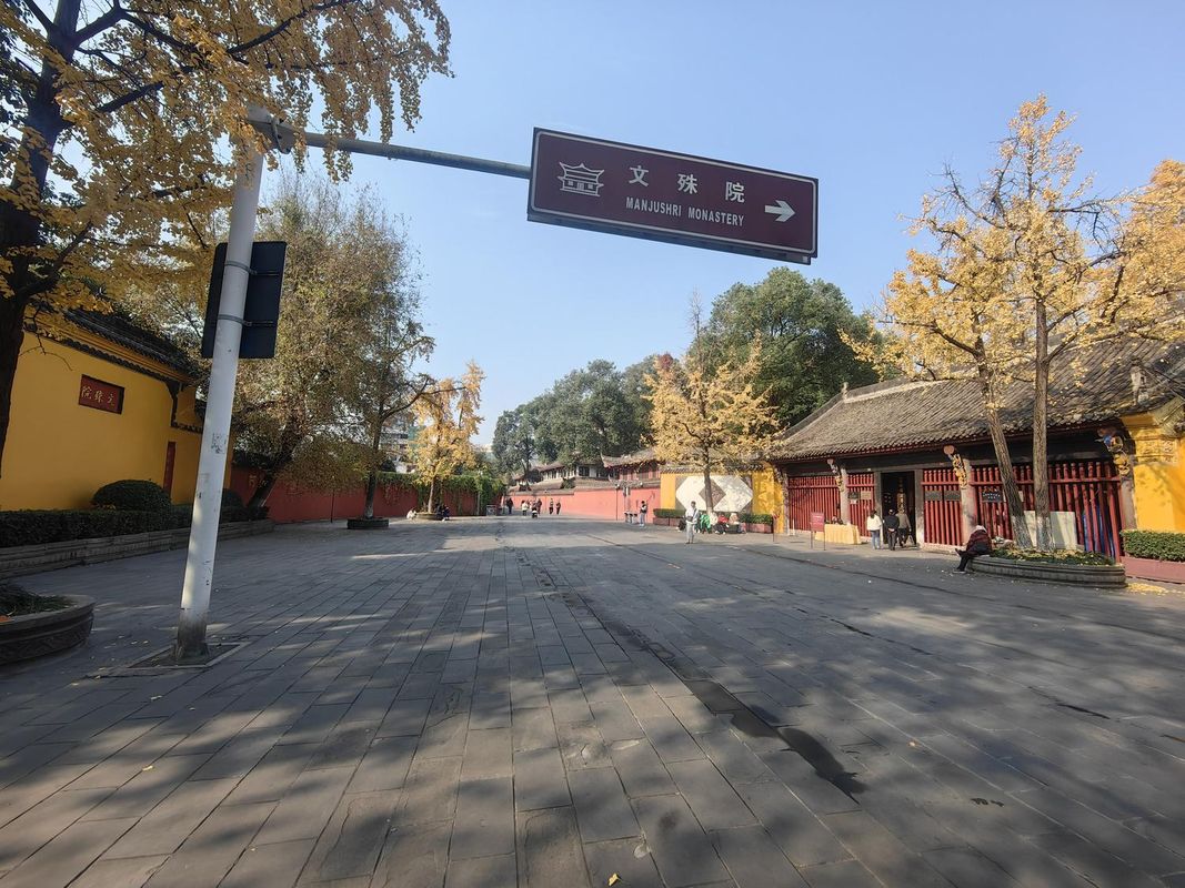 成都攀钢大酒店(金牛万达梁家巷地铁站店)