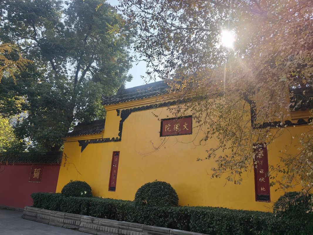 成都攀钢大酒店(金牛万达梁家巷地铁站店)