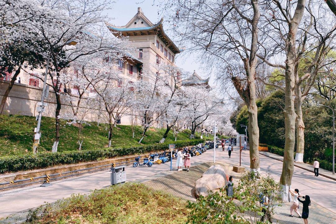 帅府铂颂饭店(武汉大学店)