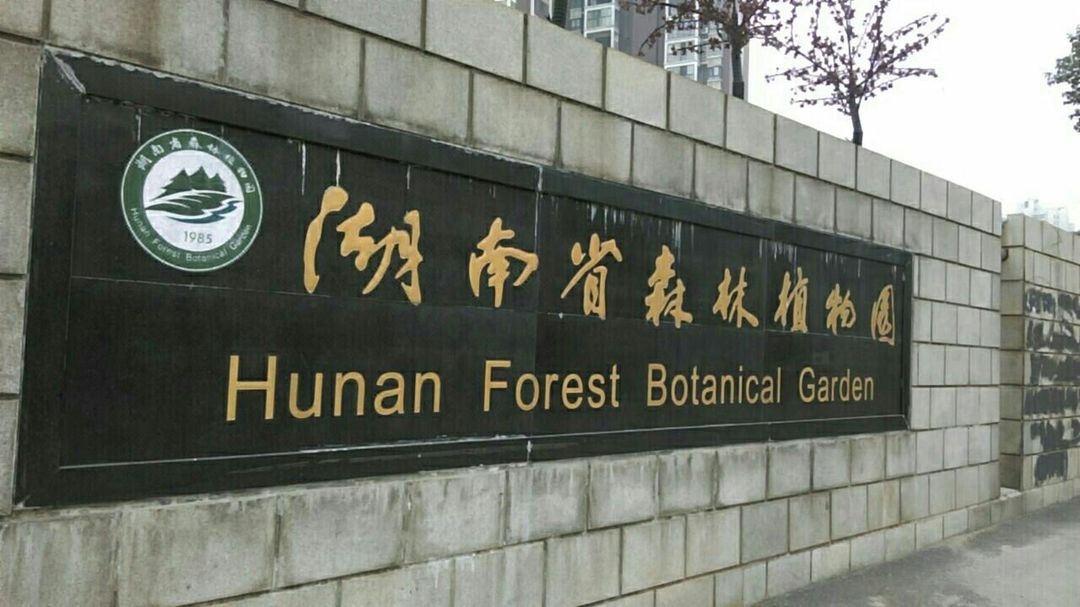 长沙红星德思勤亚朵酒店