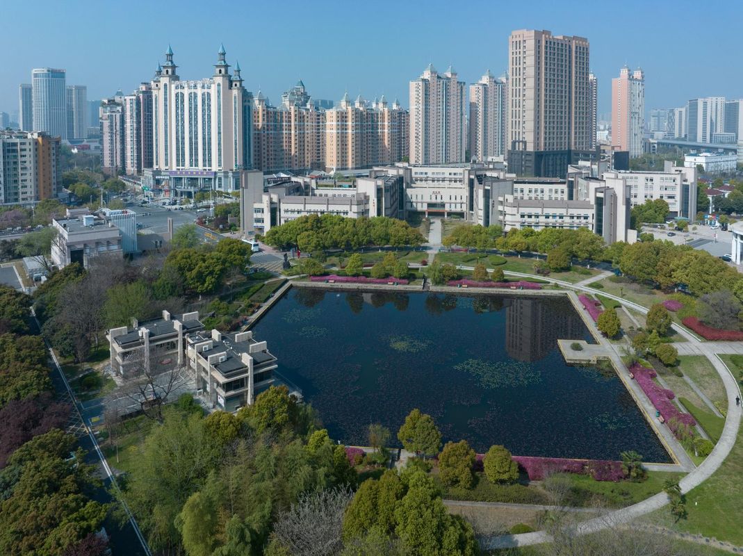 合肥明珠广场体育中心兴朵酒店