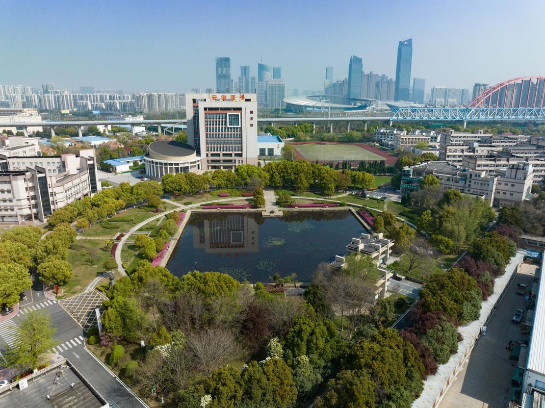 合肥明珠广场体育中心兴朵酒店