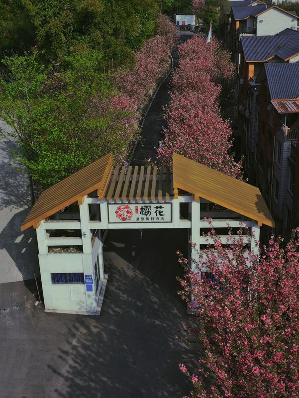 樱花温泉假日酒店