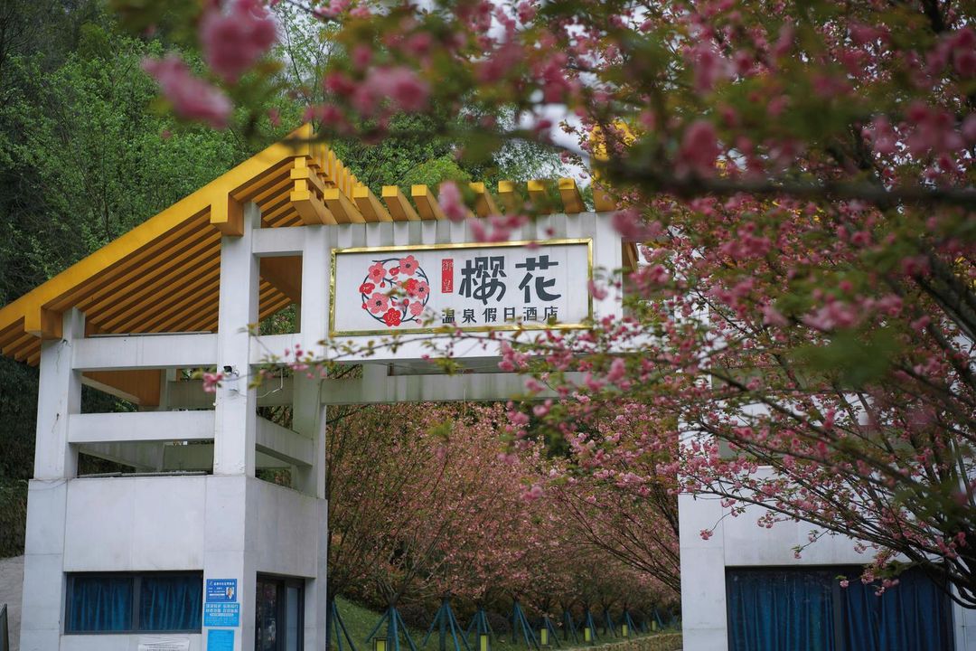 樱花温泉假日酒店