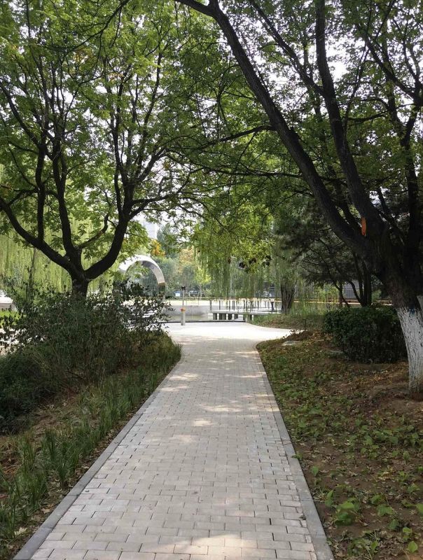 北京上地中关村软件园桔子水晶酒店