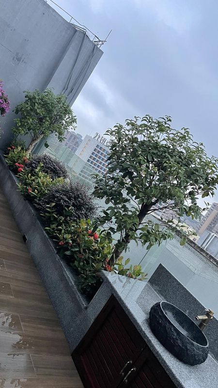 东莞沙田智选假日酒店