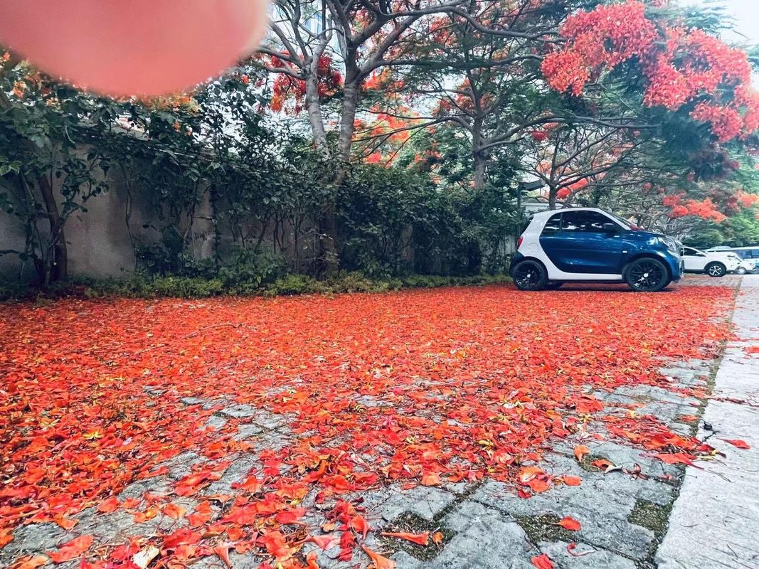 厦门国际会展中心环岛路广莱酒店
