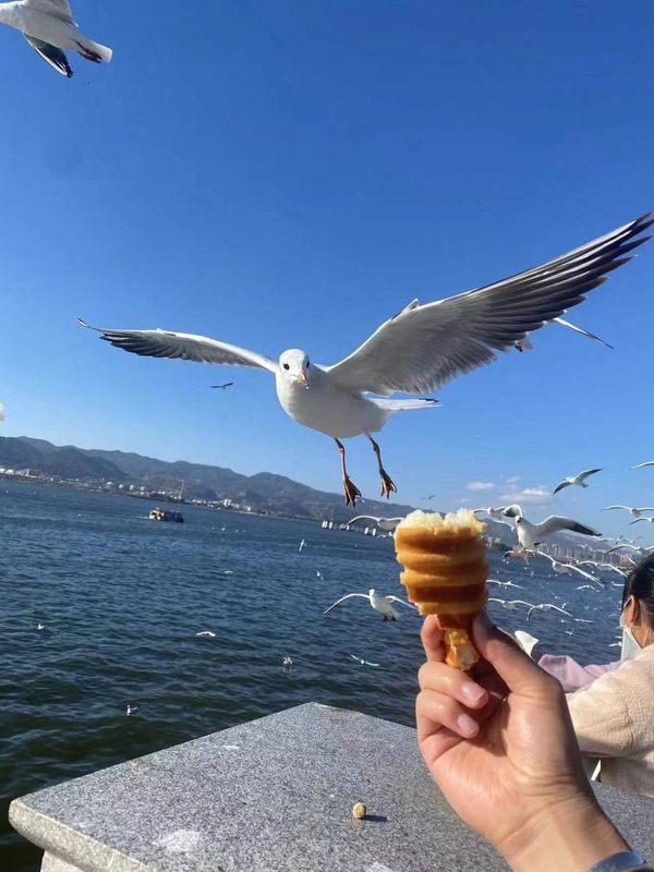 昆明滇池豪生酒店