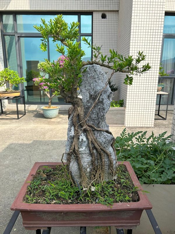 珠海金湾戴斯温德姆酒店(高栏港商都店)