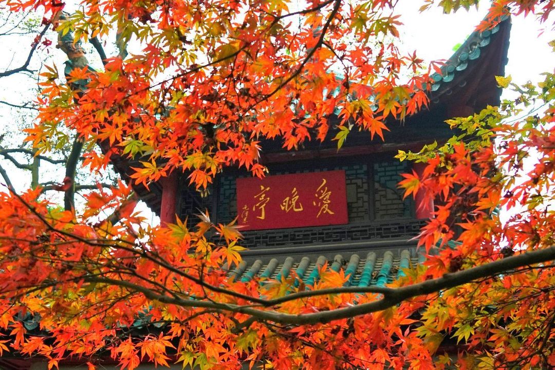 长沙梅溪湖希尔顿欢朋酒店