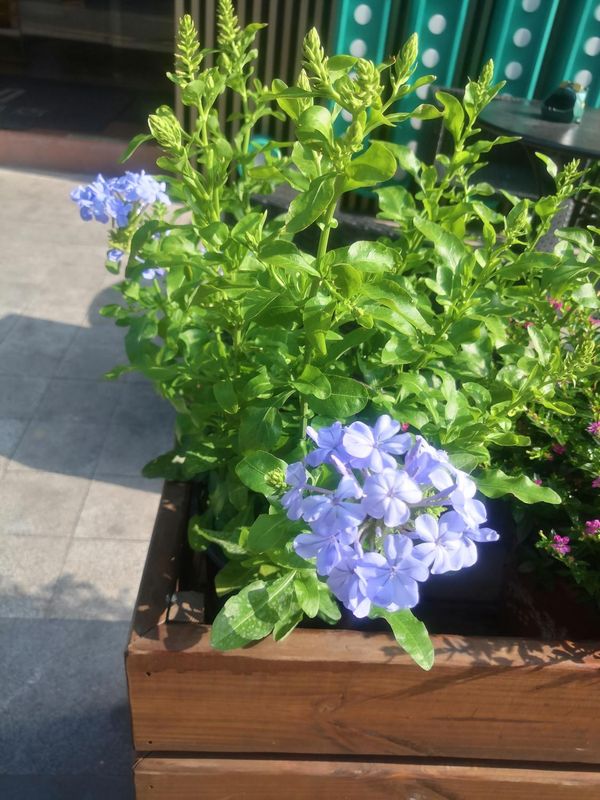 CityNote希诺酒店(宁波万象城湾头地铁站店)