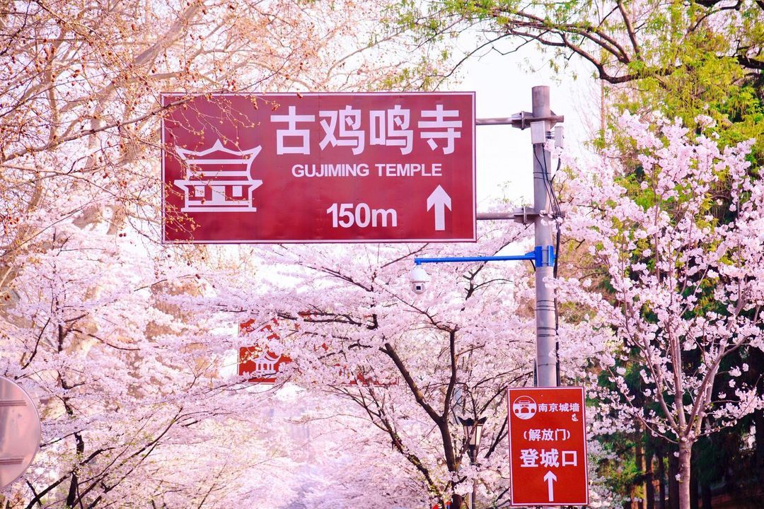 南京总统府中山东路桔子水晶酒店