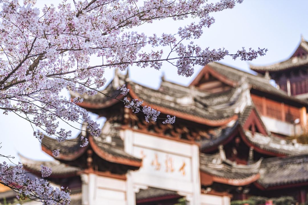 南京总统府中山东路桔子水晶酒店