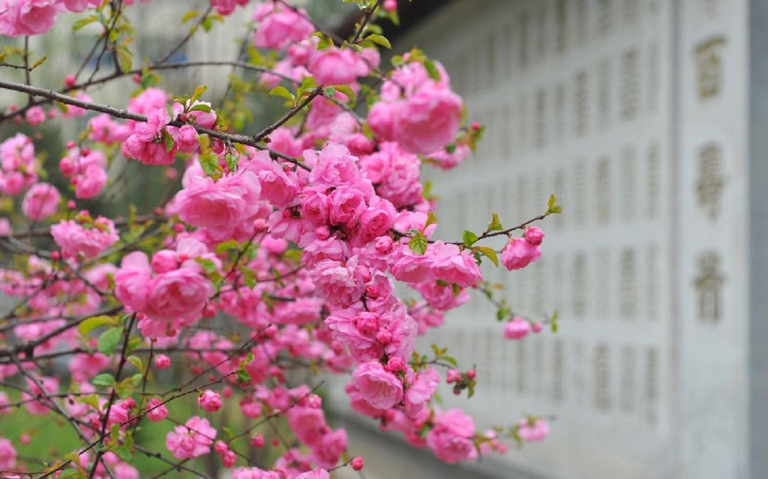 北京万寿宾馆
