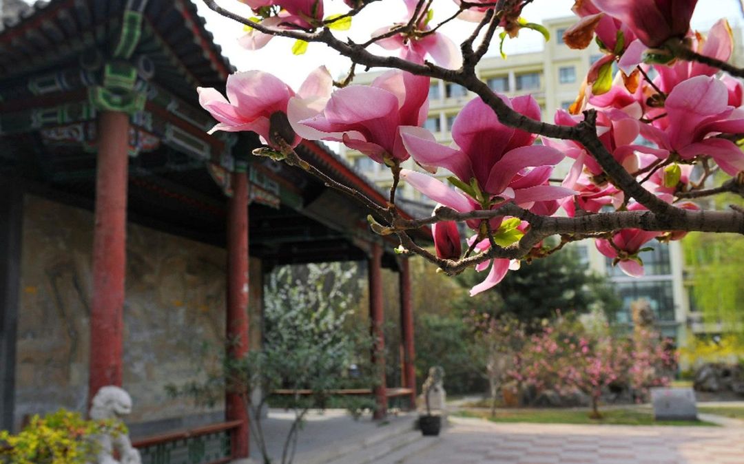 北京万寿宾馆