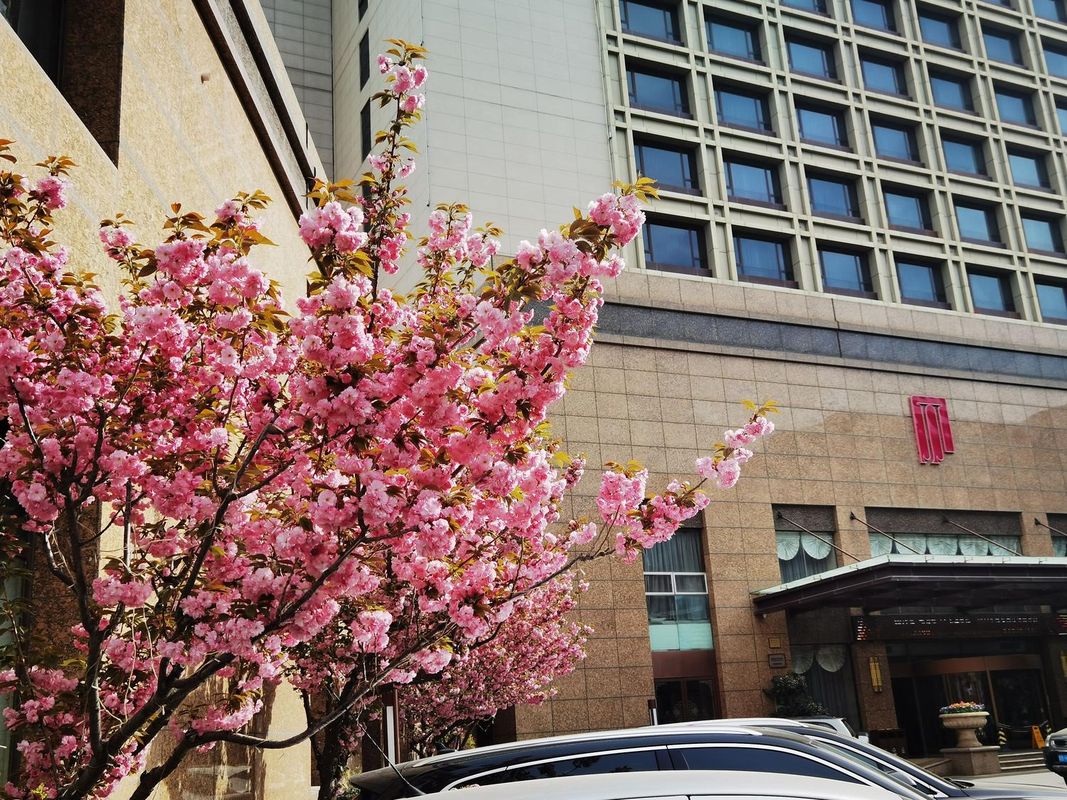 青岛广业锦江大酒店(李村地铁站店)