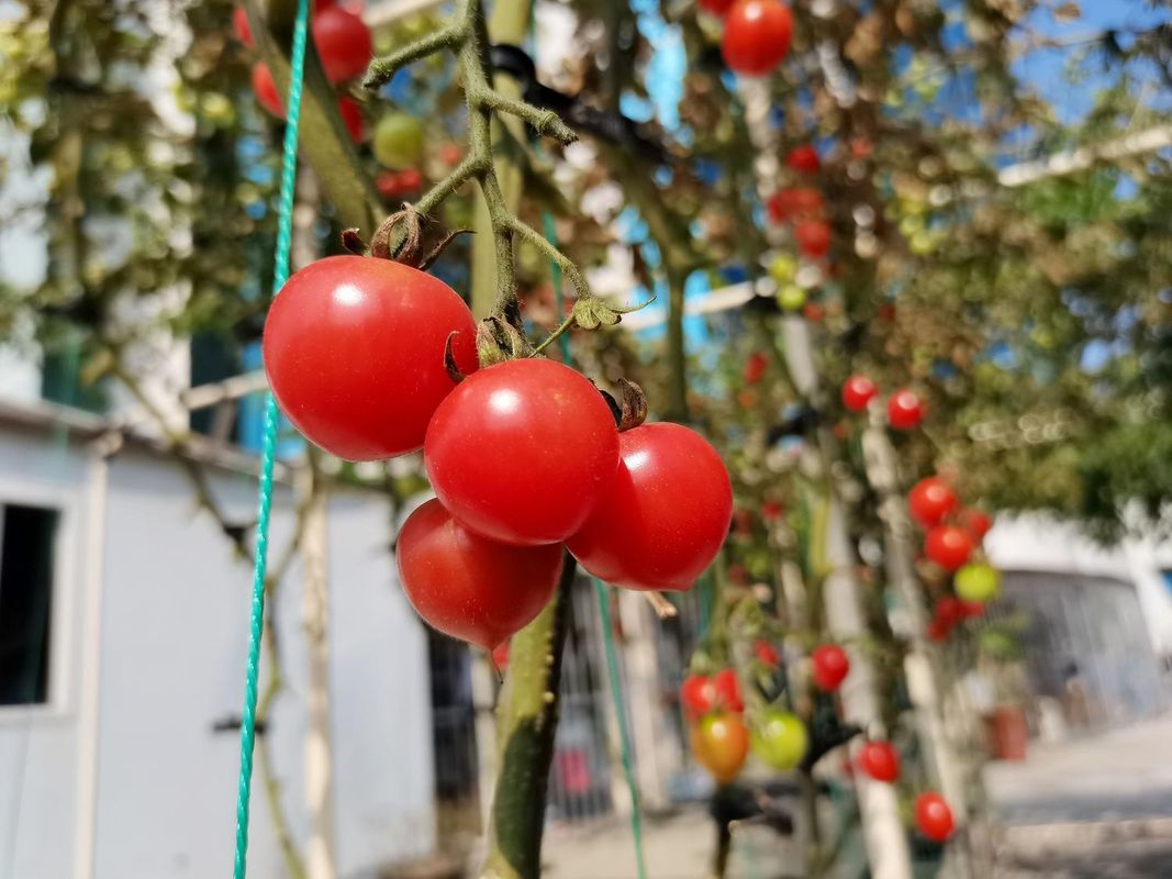 深圳上海宾馆(华强北华强路地铁站店)