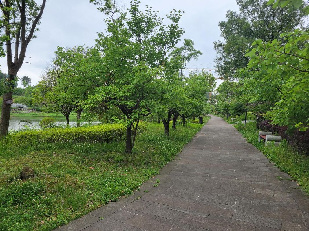 贵州科学城国际会议中心酒店