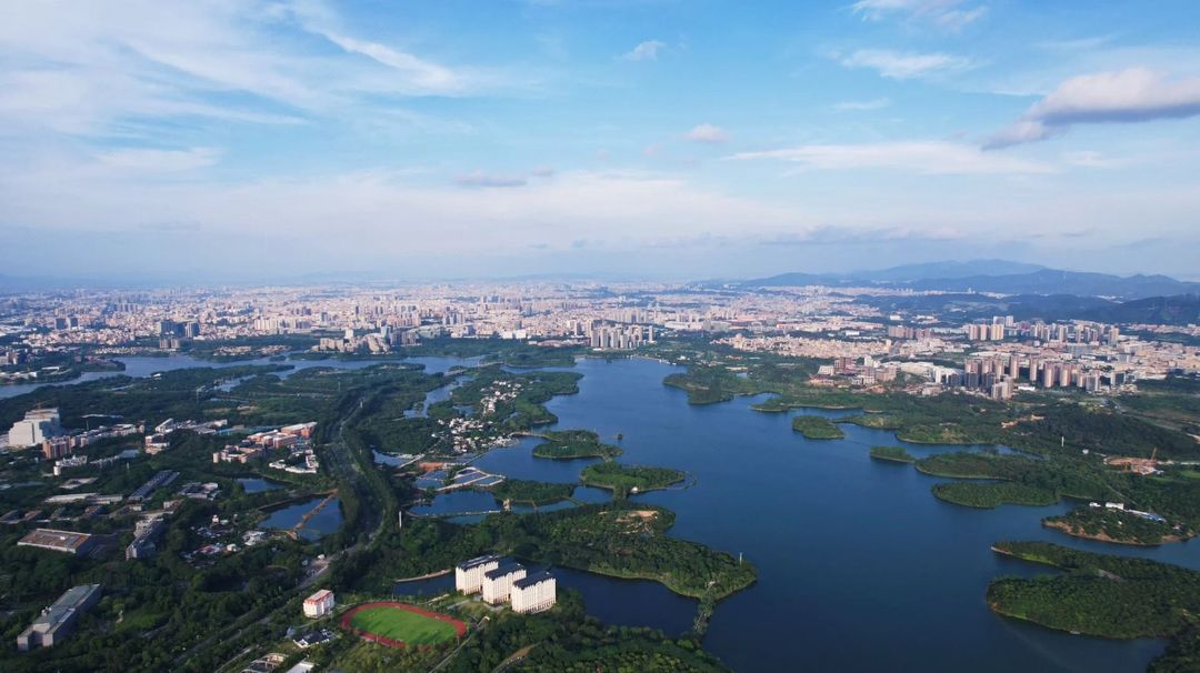 东莞松山湖大学城轻居酒店