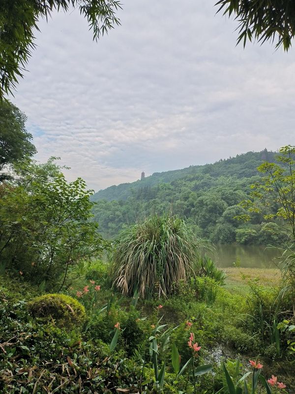 重庆两江新区幸福广场亚朵酒店
