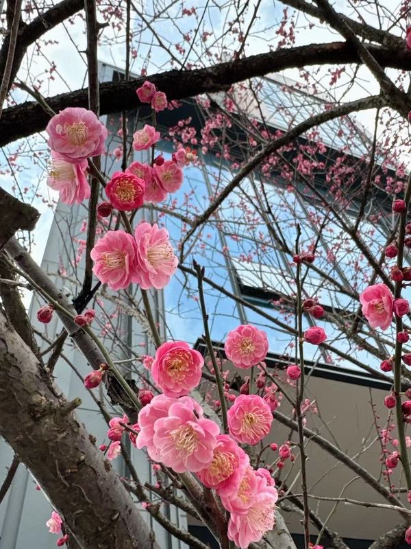 余姚万枫酒店