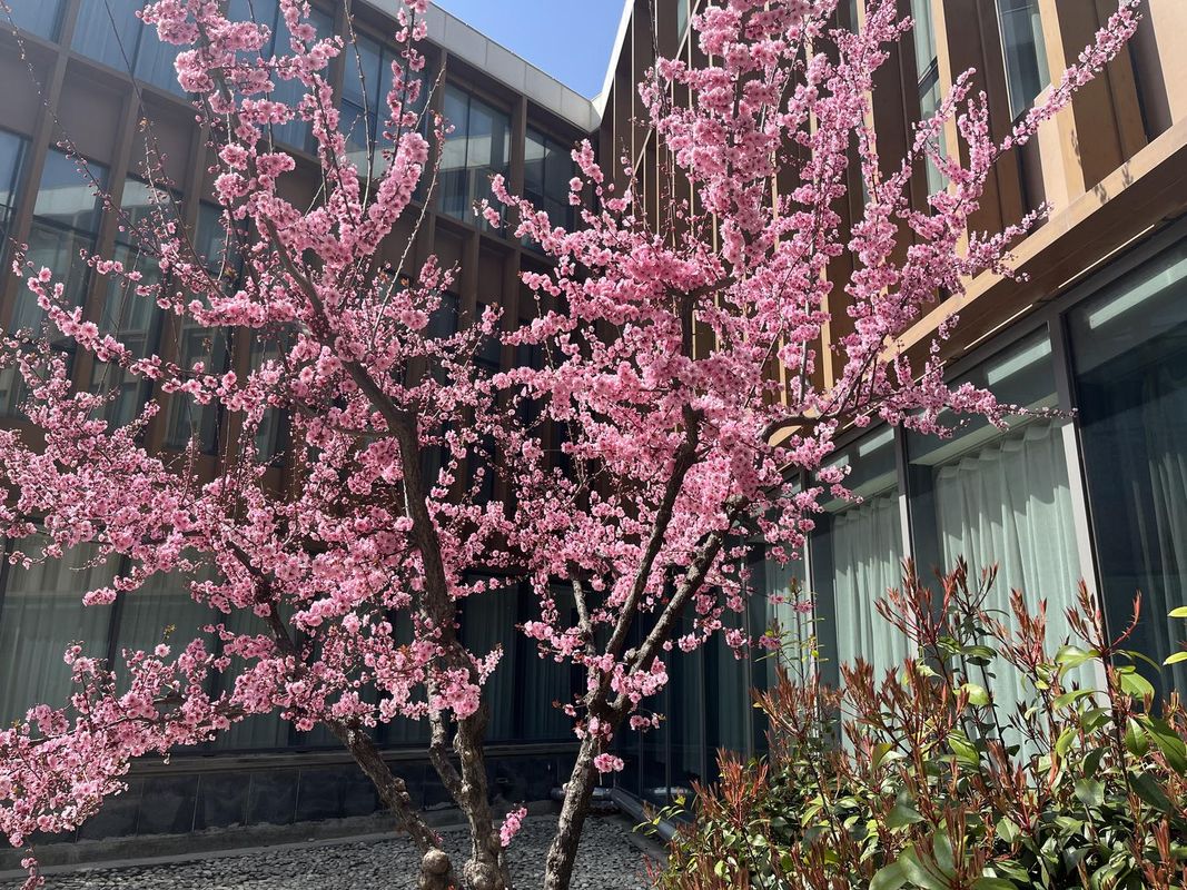 烟台福山宾馆