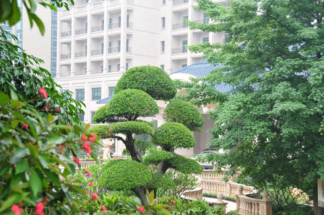 广州增城恒大酒店