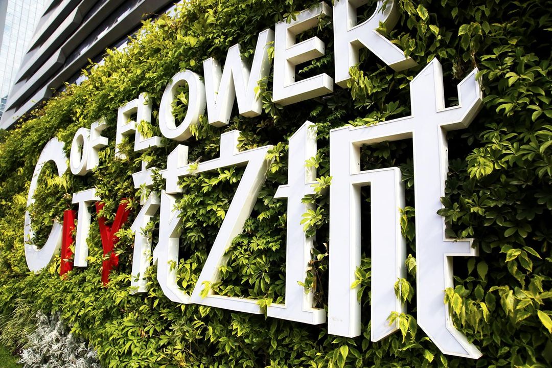 昆明花之城豪生国际大酒店薰衣草苑