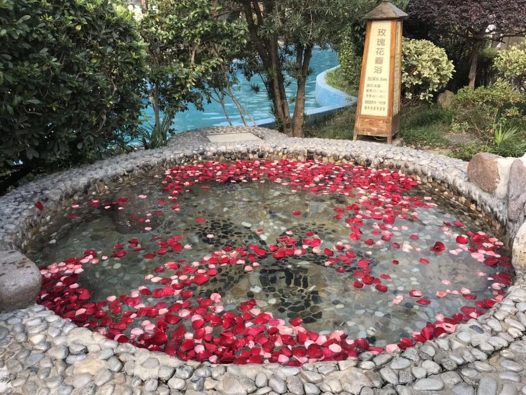 庐江金孔雀温泉旅游度假村
