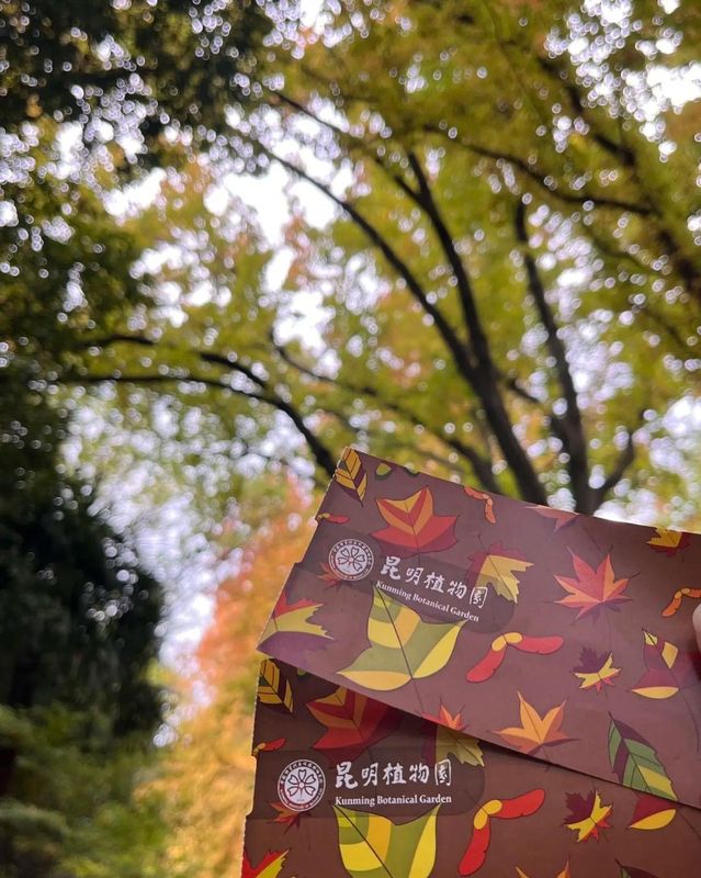 昆明盘龙戴斯精选温德姆酒店(农业大学店)