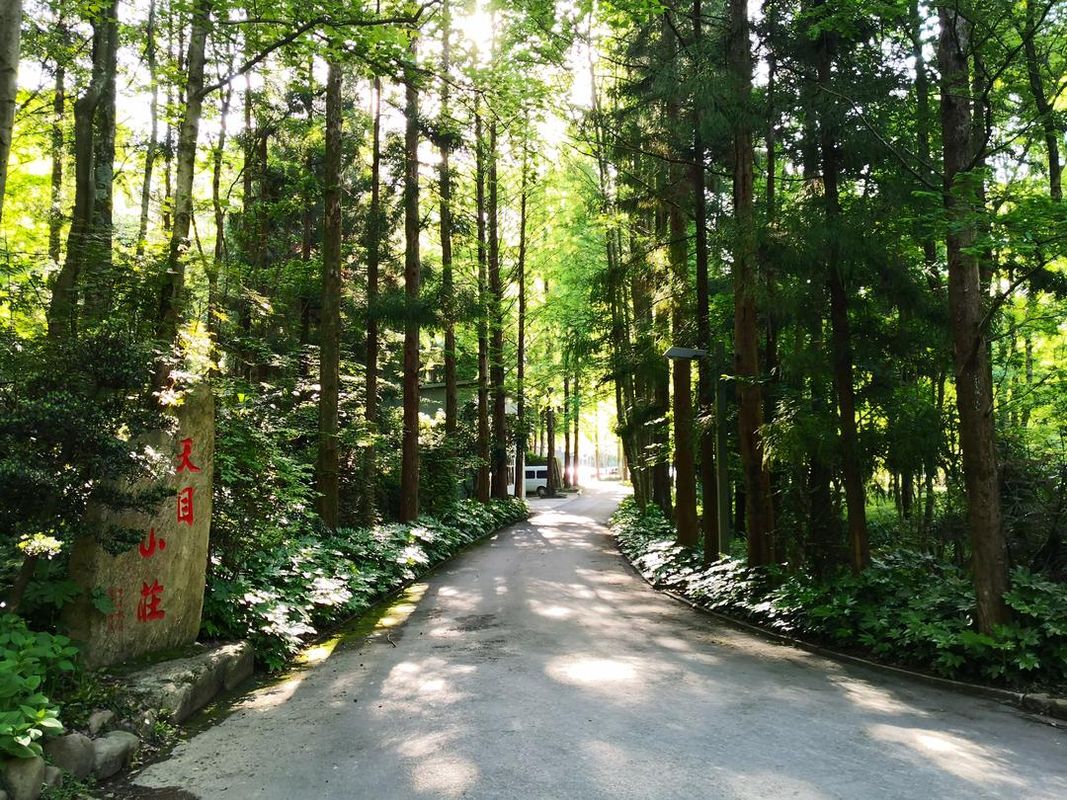 杭州临安天目山庄