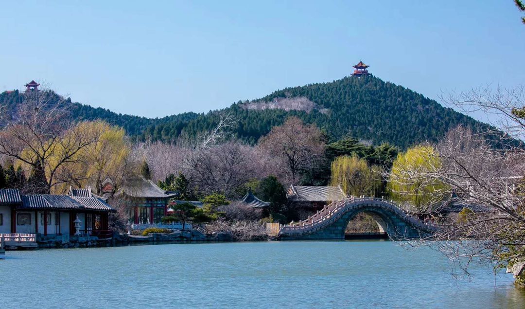 山东大厦