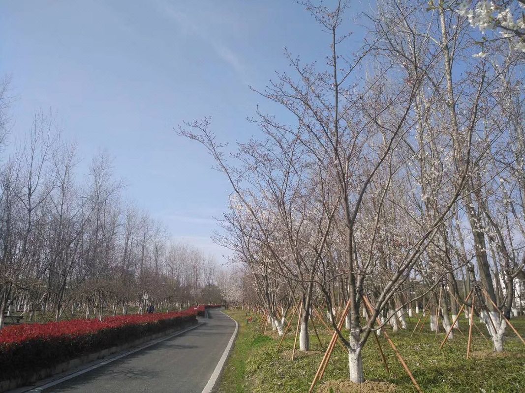 太仓万达广场东仓南路亚朵酒店