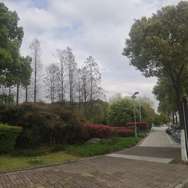 宁波曙光丽亭酒店