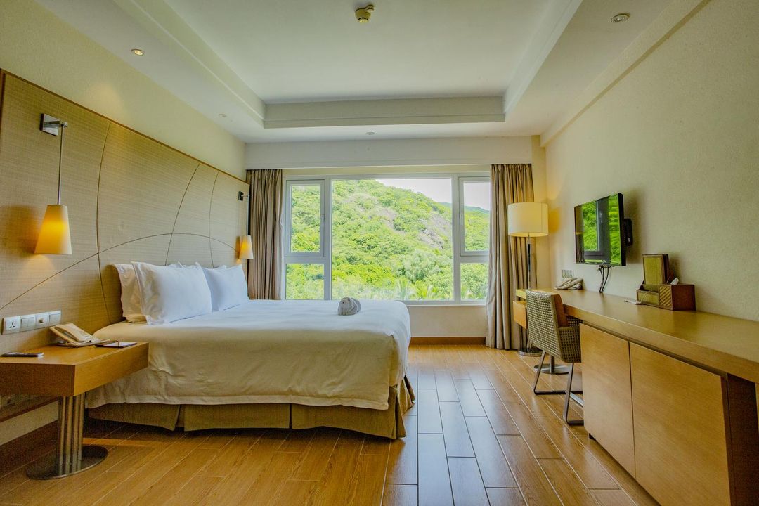 标准山景大床房