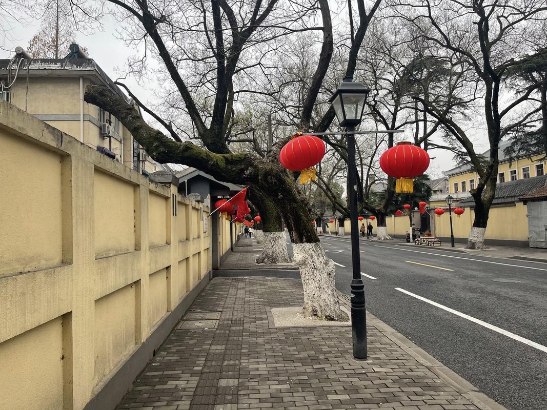 南京玄武湖桔子水晶酒店