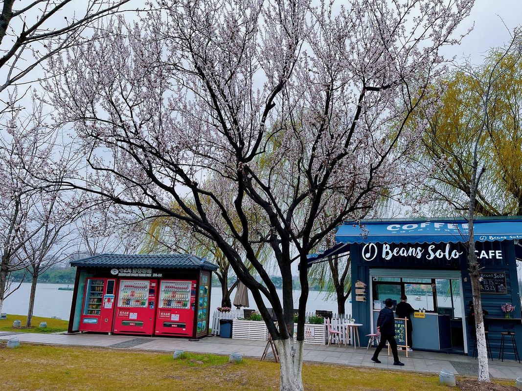 南京玄武湖桔子水晶酒店
